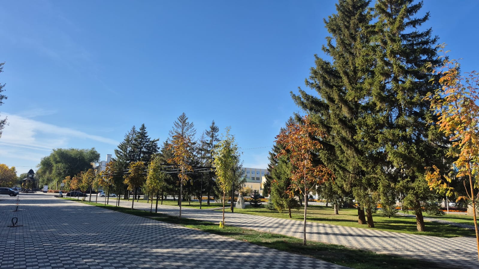 Прогноз погоды для жителей ЗКО на 11 октября